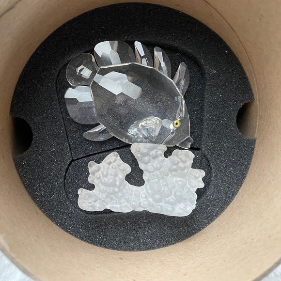 Retired Swarovski Crystal Butterfly Fish On Coral Branch in Box Never Displayed - Picture 7 of 8